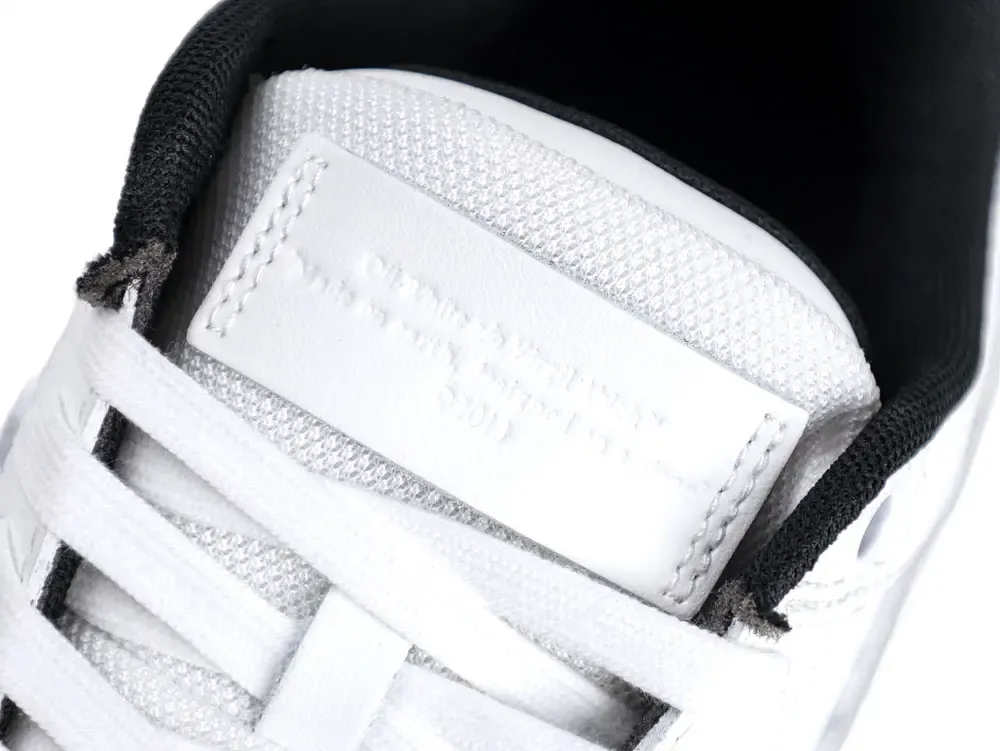 the tongue