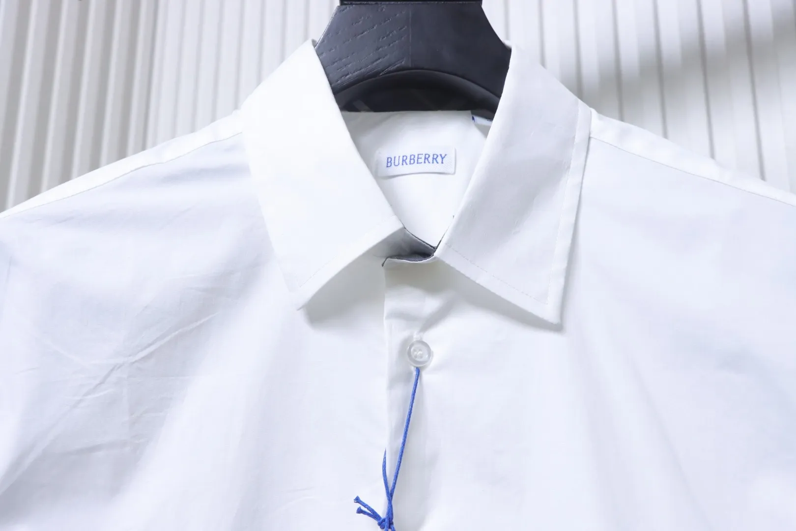 Collar Detail