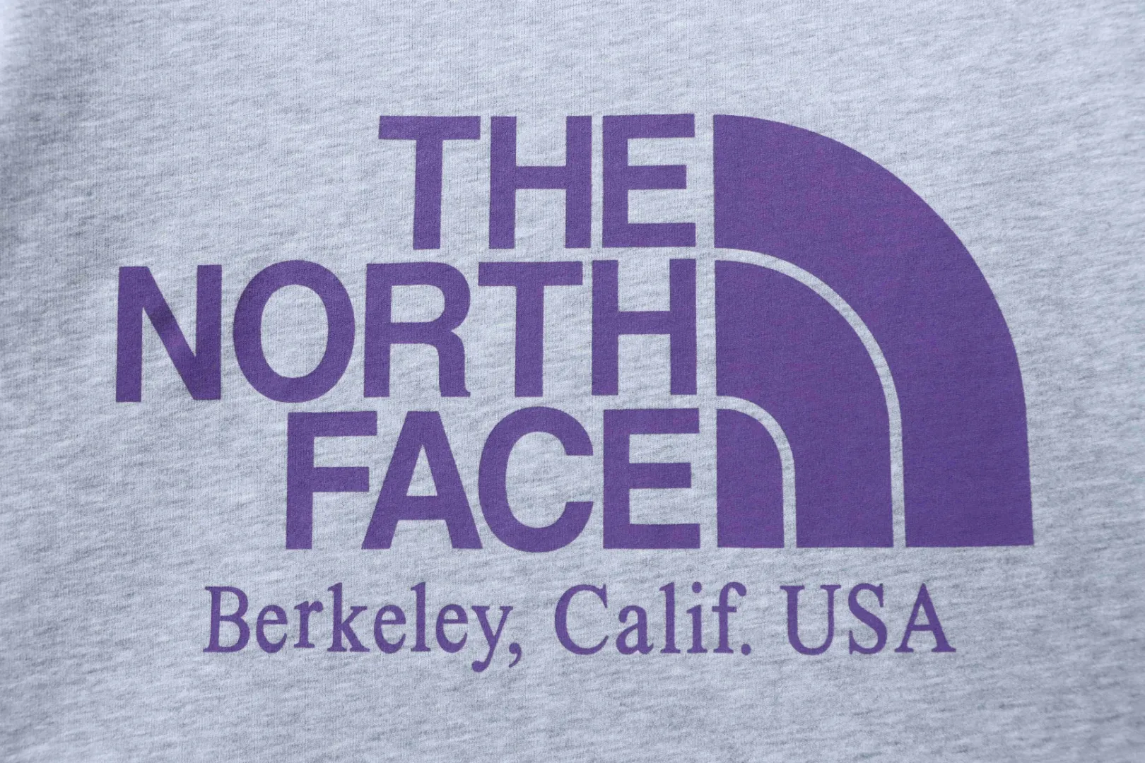 Logo The North Face