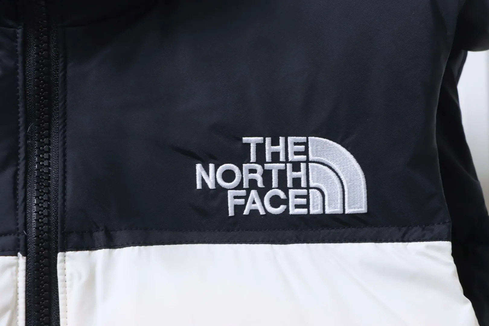 Logo Detail
