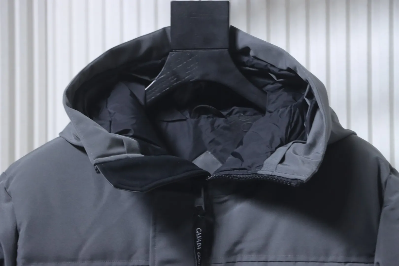 Collar Detail