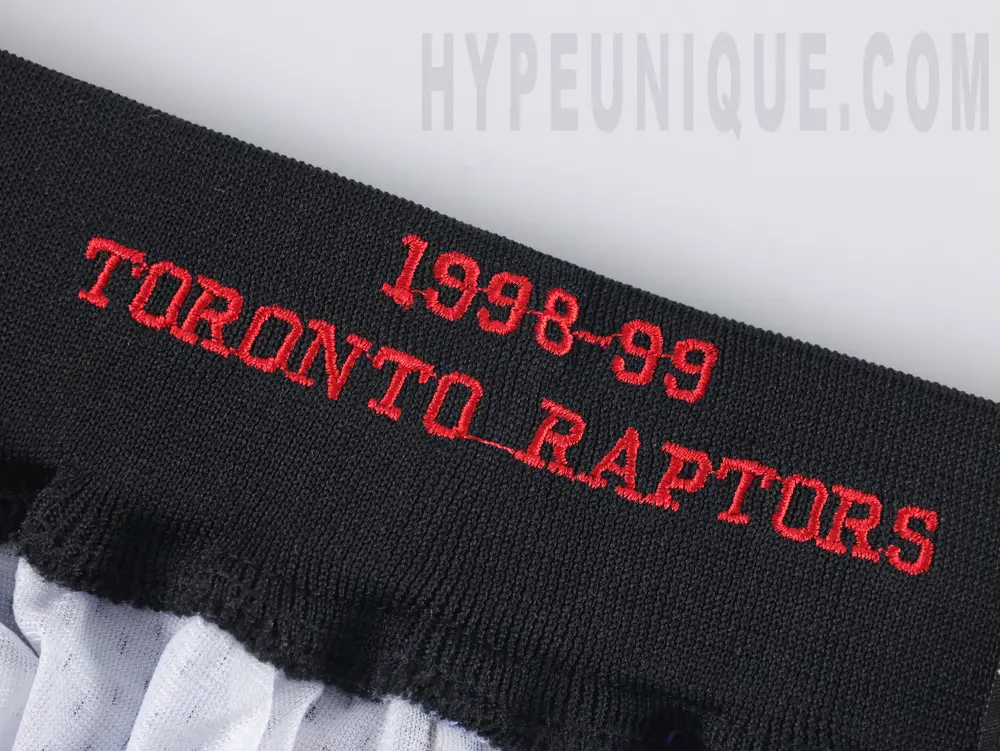 Raptors
