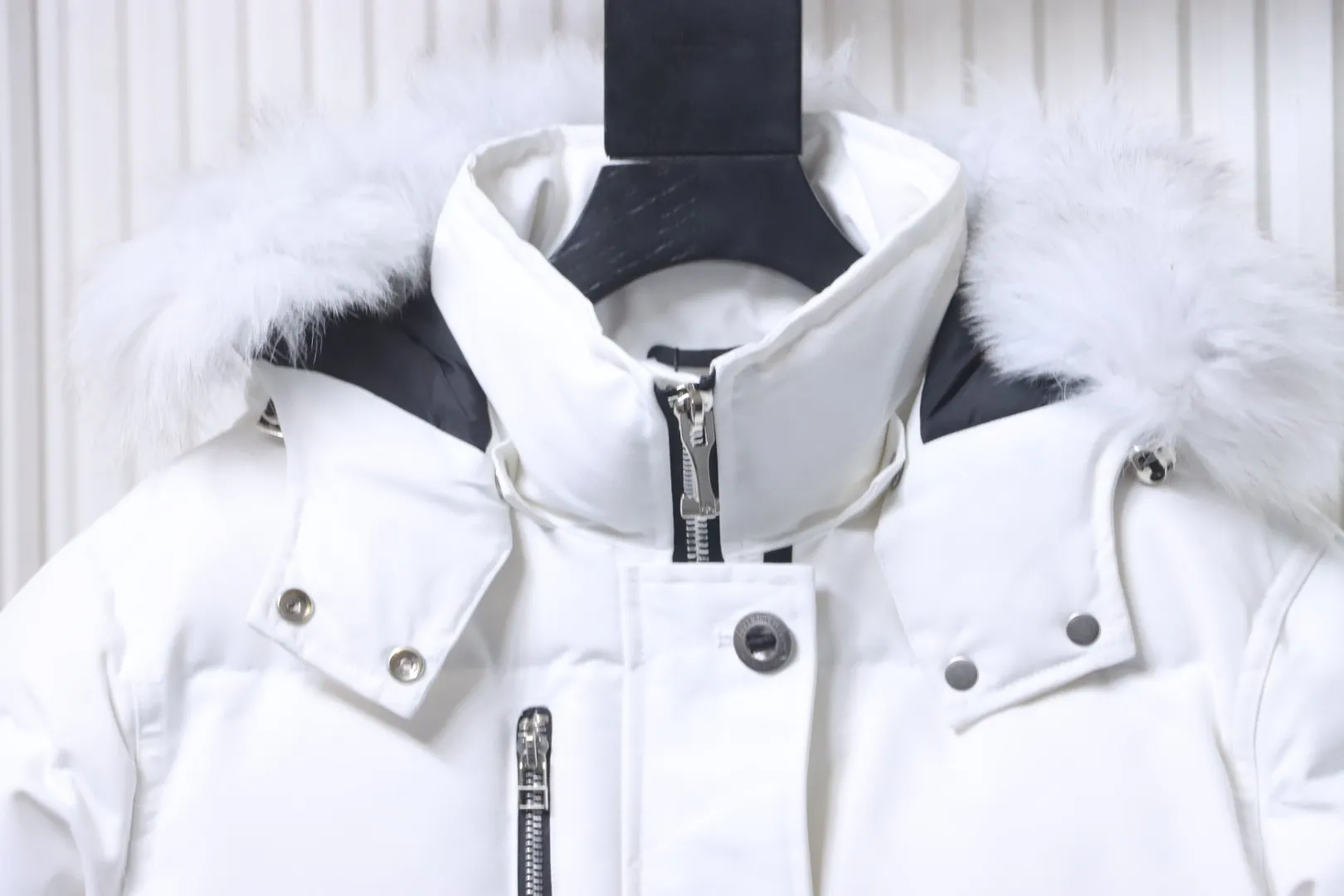 Collar Detail