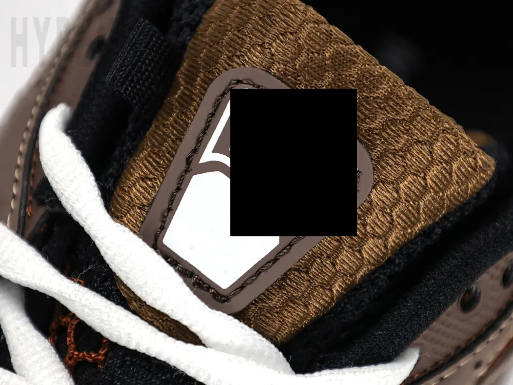 the shoe tongue