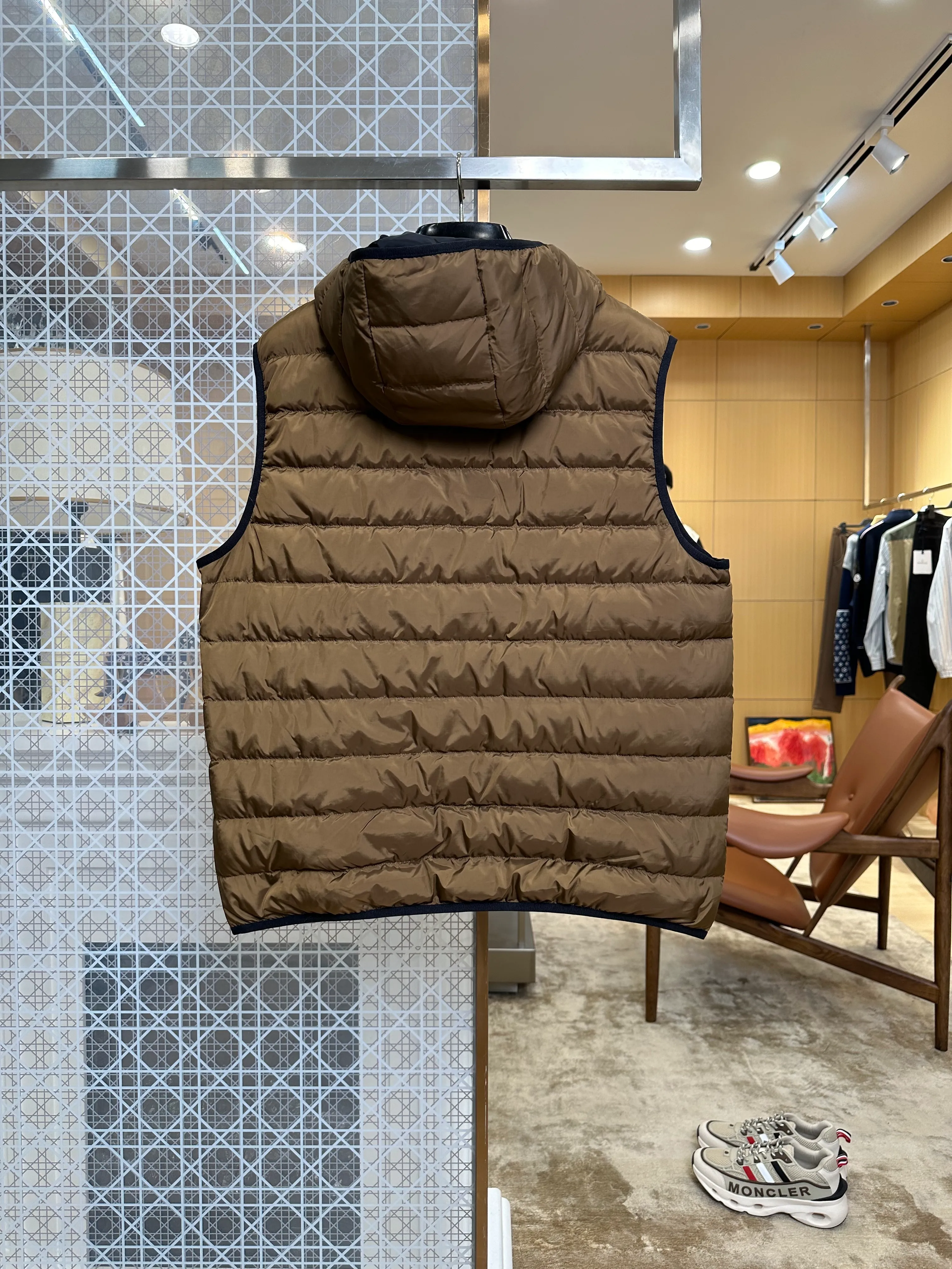 Back View Logo Hooded Goose Down Vest
