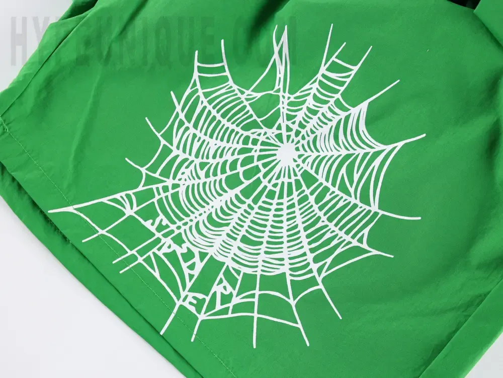 the spider website
