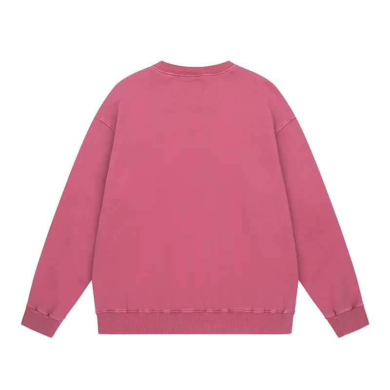 Back View Carhartt WIP Classic Logo Washed Crew Neck Sweatshirt