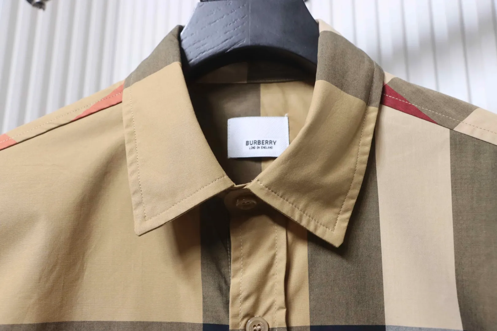 Collar Detail