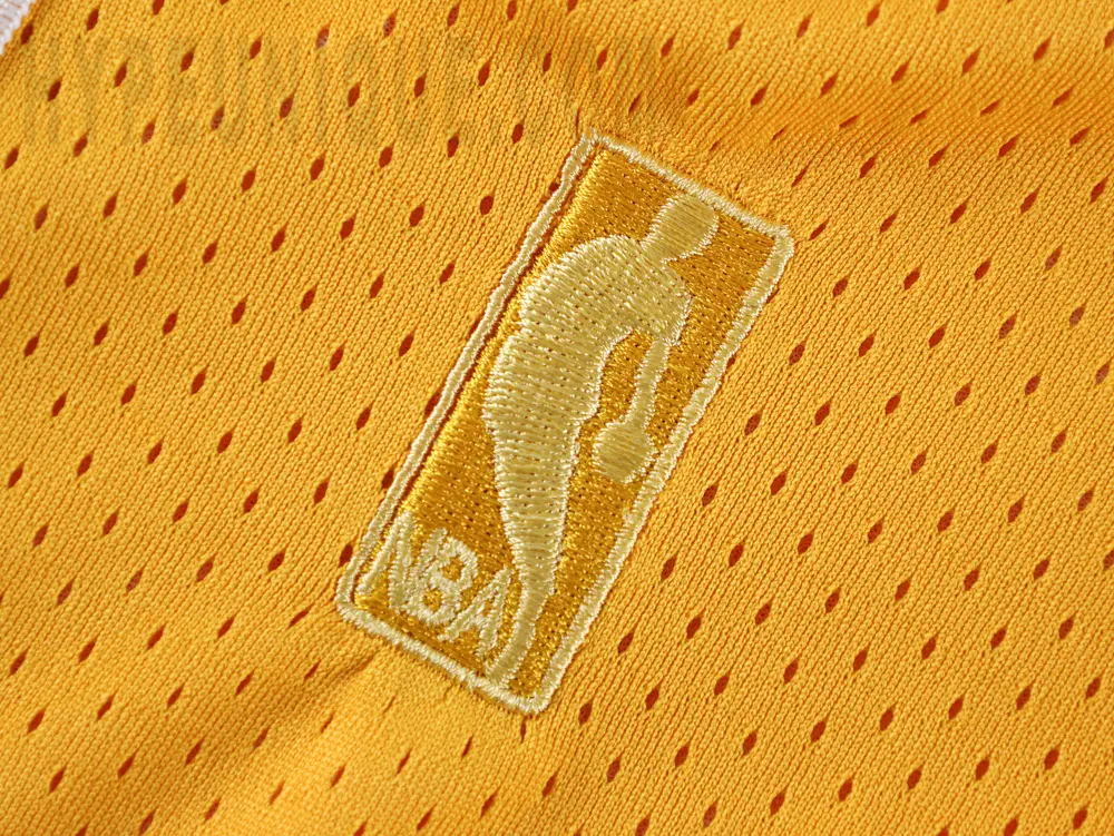 the nba loog