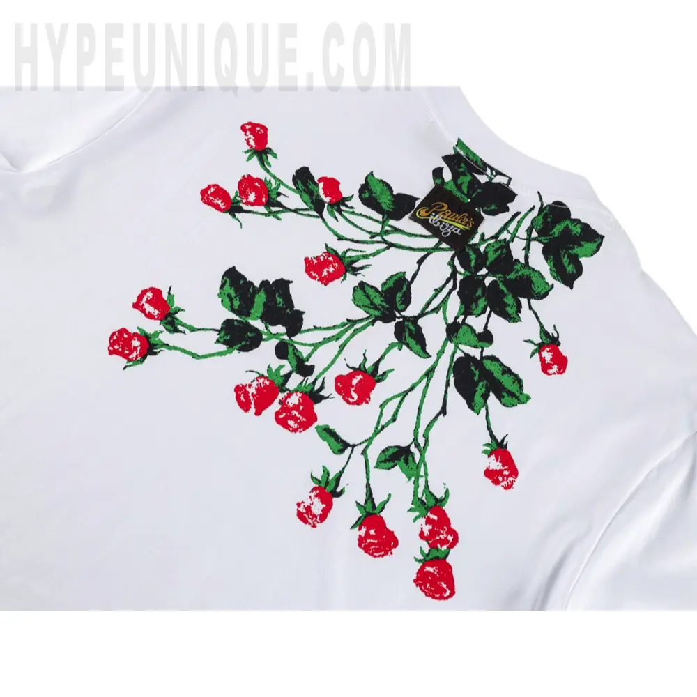 Printed graphic on the back of the garment