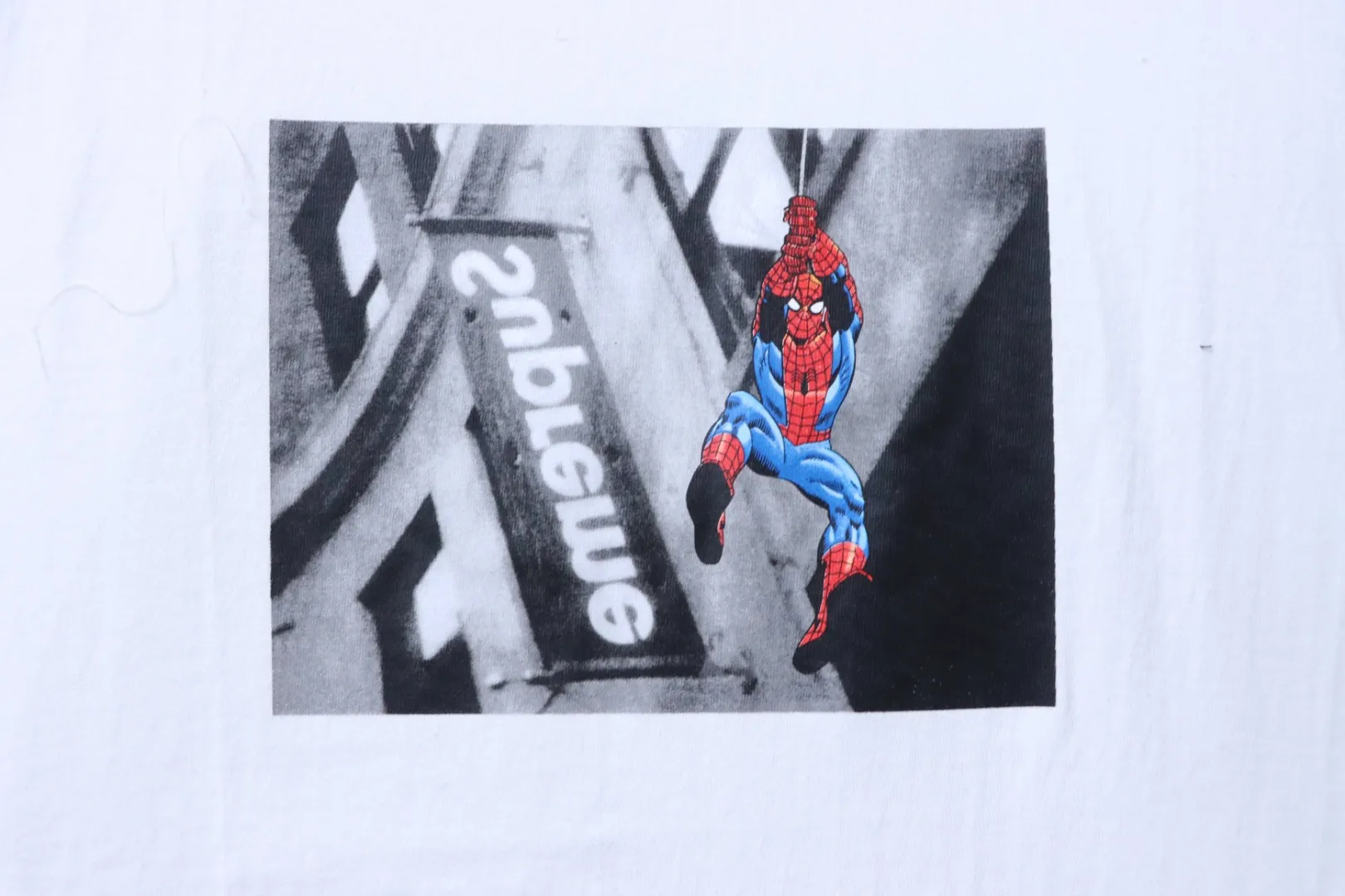 Spider Man Logo Print